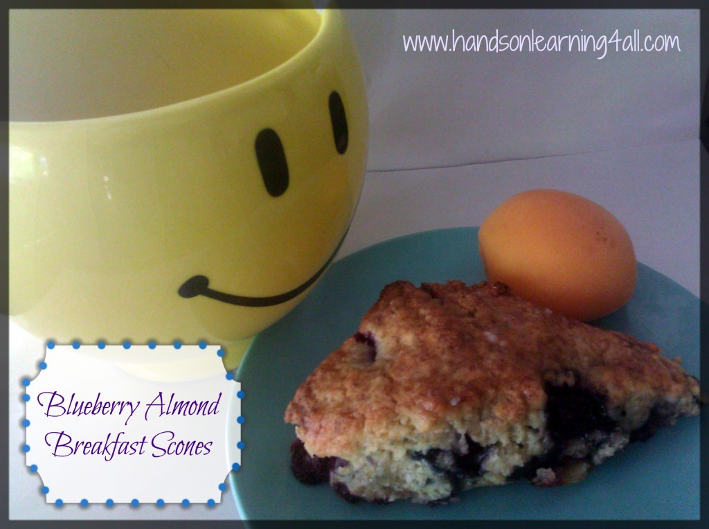 Blueberry breakfast scones