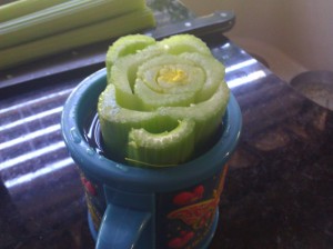 Then put the cut end into a cup of water. Leave about 1/2" out of the water. Make sure the root end is covered.