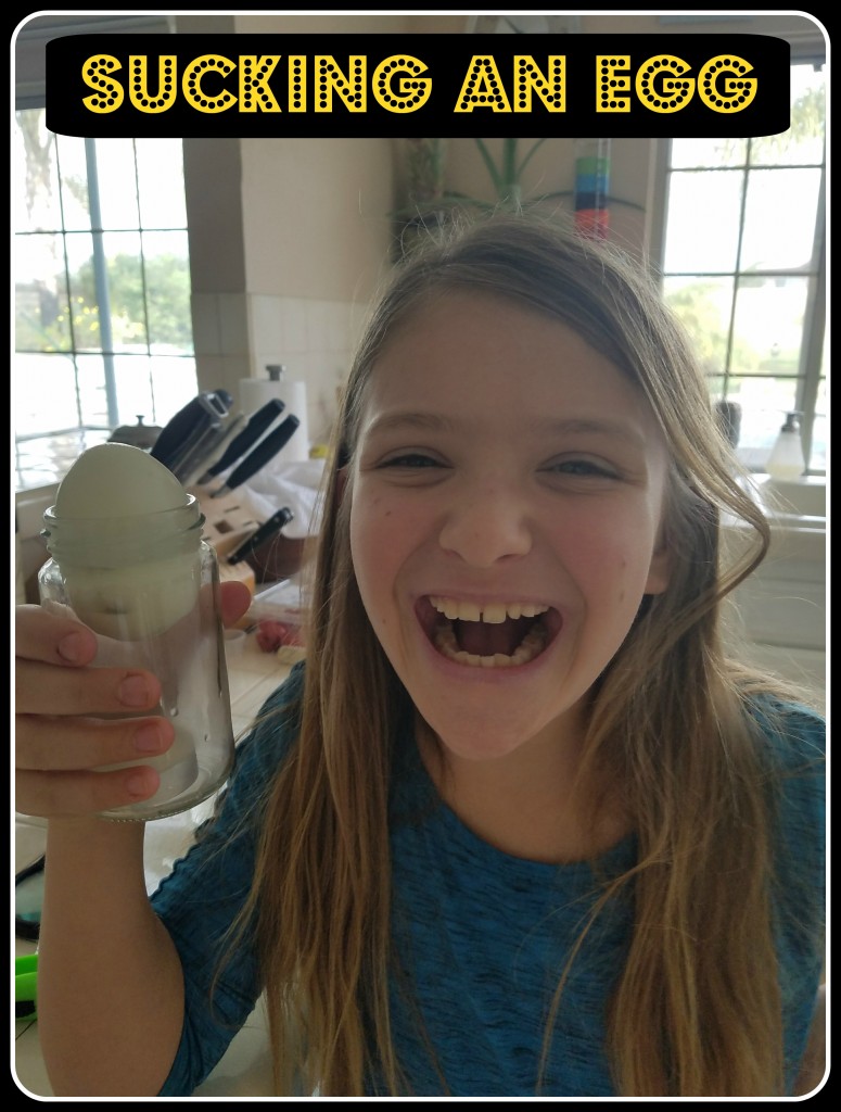 Activity Ideas Hands On Learning And Story Time