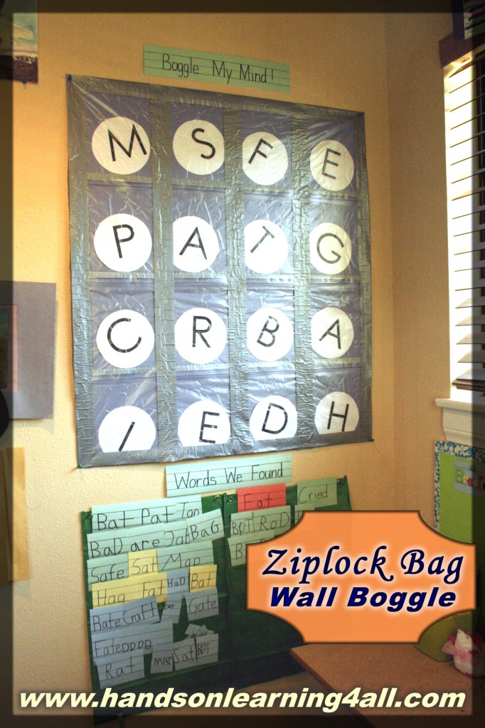 ziplock bag boggle